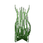 Plant Seaweed Winter Tall