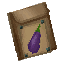Plant Seeds Aubergine