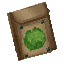 Plant Seeds Lettuce
