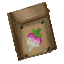 Plant Seeds Turnip