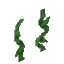 Plant Vine Liana