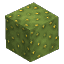 Prototype Cactus Two