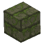 Stone Brick Mossy
