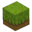 Grass Sunny