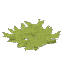 Survival Trap Grass