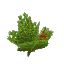 Template Crop Berry Block