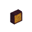 Amber Branch Short
