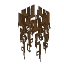 Beech Roots