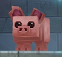 Pig