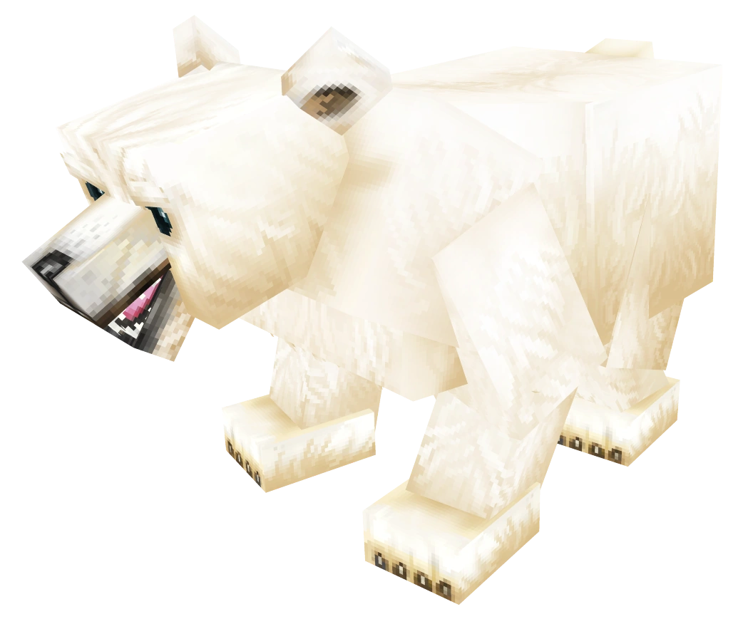 Polar Bear