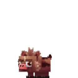 Boar Piglet