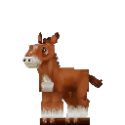 Foal