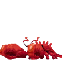 Lobster