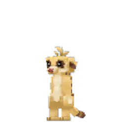 Meerkat