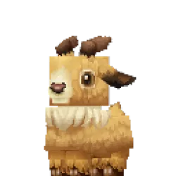 Mouflon Lamb