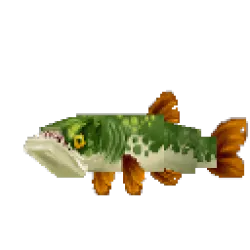 Pike
