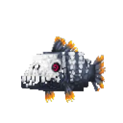 Piranha Black