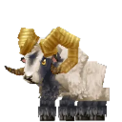 Ram