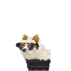 Ram Lamb