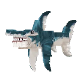 Shark Hammerhead