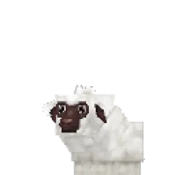 Lamb