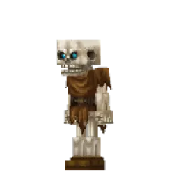 Skeleton Fighter