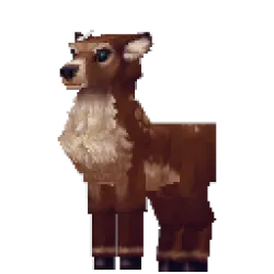 Doe