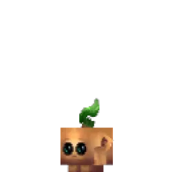 Kweebec Seedling