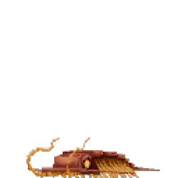 Trilobite