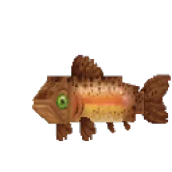 Trout Rainbow