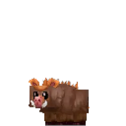 Warthog Piglet