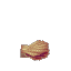 Coral Shell