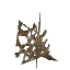 Scarak Spit