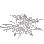 SpiderWeb Flat