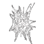 SpiderWeb Full