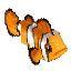 Fish Clownfish Item