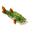 Fish Pike Item