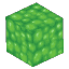 Fluid Slime