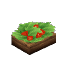 Salad Berry