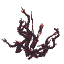 Plant Bramble Dead Twisted