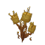 Plant Bramble Dry Sandthorn