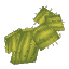 Plant Cactus Flat 2