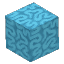 Plant Coral Block Cyan