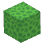 Plant Coral Block Green