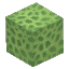 Plant Coral Block Lime