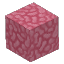 Plant Coral Block Pink