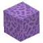 Plant Coral Block Purple