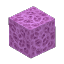 Plant Coral Block Violet