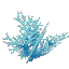 Plant Coral Bush Cyan