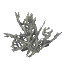 Plant Coral Bush Grey